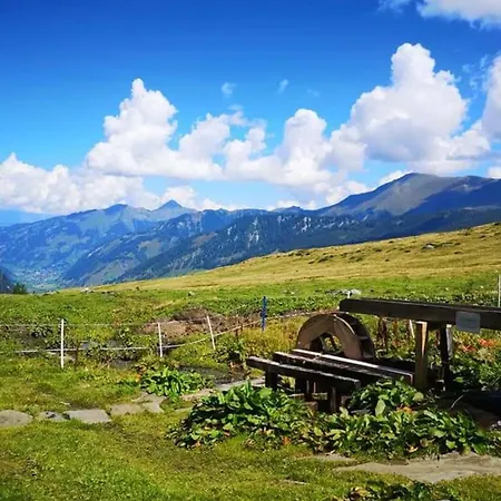 Manuela 7 Apartment Rauris